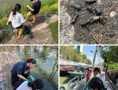 🐟 การติดตามสุขภาพของระบบนิเวศทางน้ำ | Monitoring the Health of Aquatic Ecosystems
