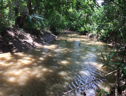 🐟 แผนลดการเปลี่ยนแปลงของระบบนิเวศทางน้ำ | Minimising Alteration of Aquatic Ecosystems Plan